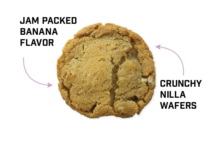 DCC_CookieImagesforWebsite-BananaPudding