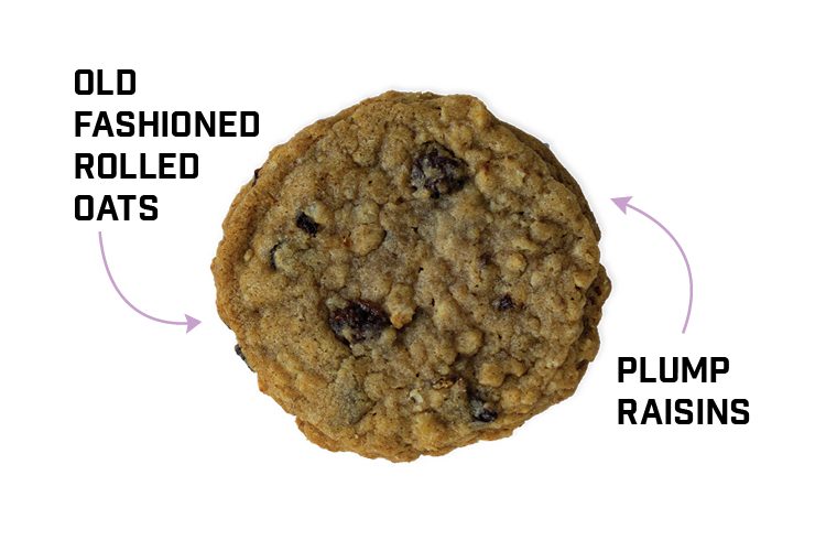 DCC_CookieImagesforWebsite-OatmealRaisin