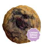 Blueberry Chip Donut