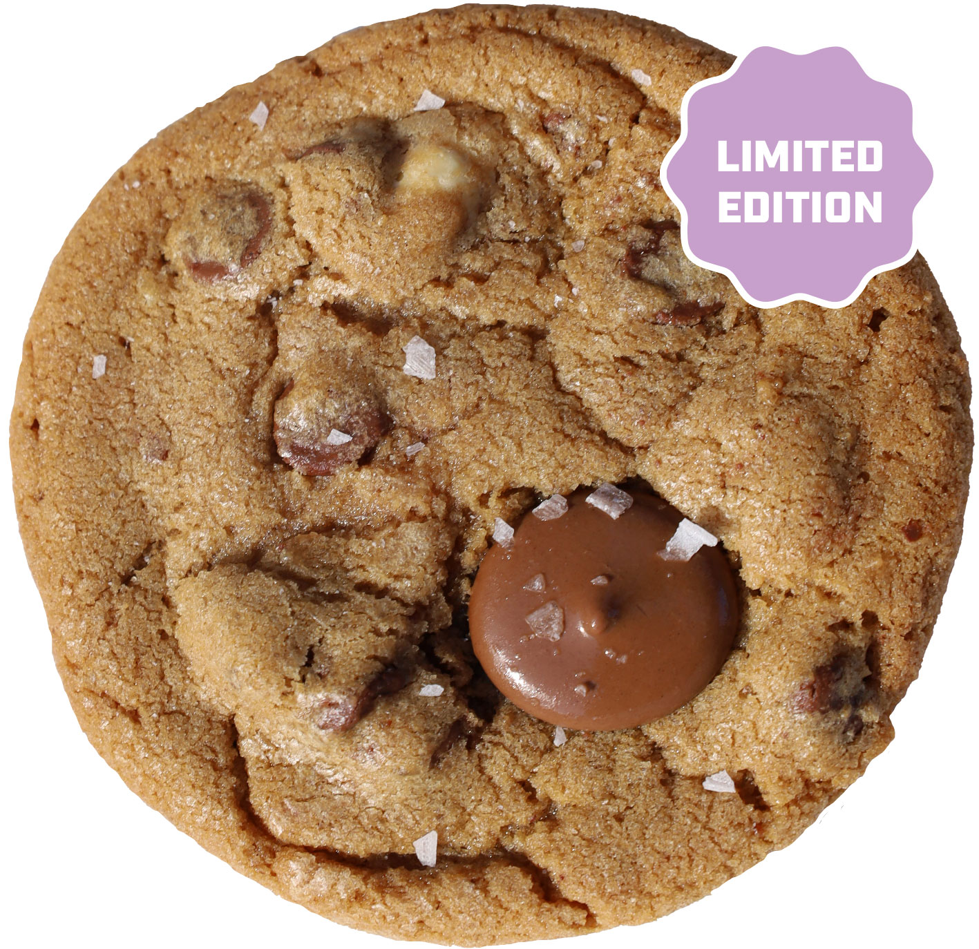 Browned Butter Sea Salt Triple Chocolate Chip