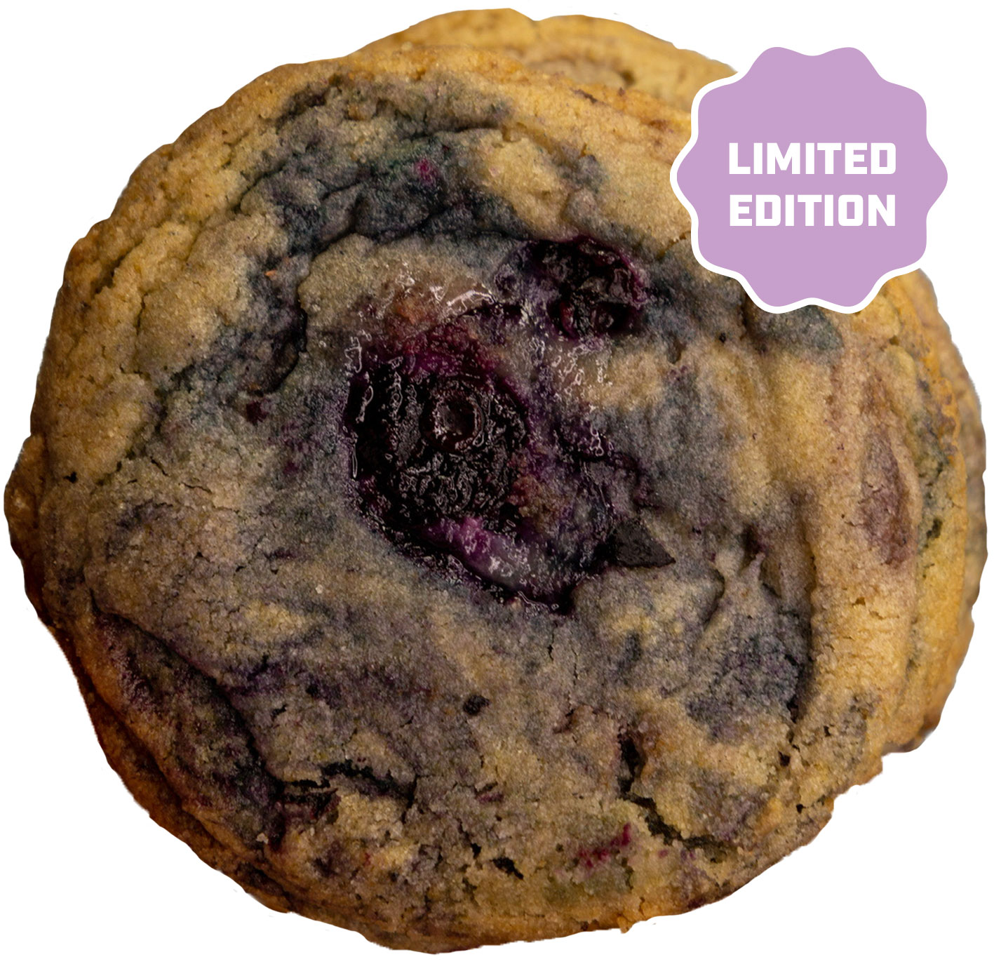 Blueberry Chip Donut