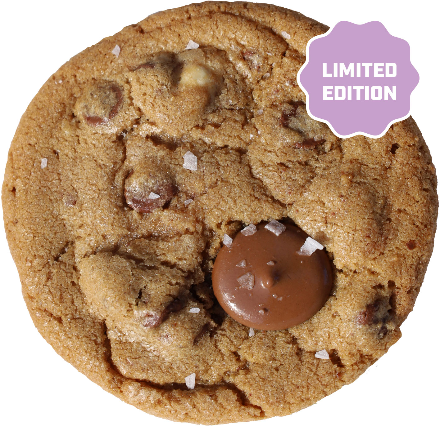 Browned Butter Sea Salt Triple Chocolate Chip