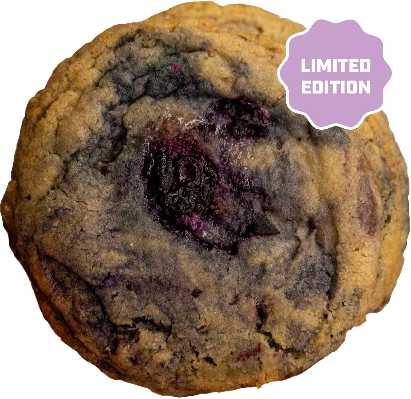 Blueberry Chip Donut